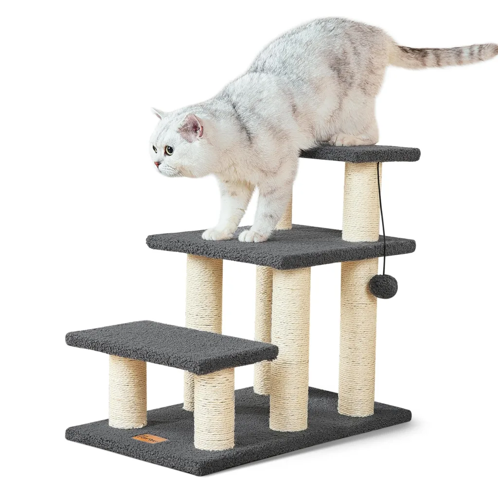 Escadas adaptadas para gatos senis
